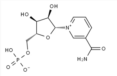 -Nicotinamide mononucleotide1094-61-7