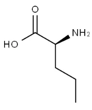 l - نوروالین CAS نمبر:6600-40-4